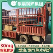 1吨燃气热水多宝(中国)官方