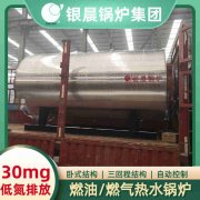 卧式燃煤蒸汽多宝(中国)官方