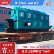 燃煤蒸汽多宝(中国)官方价格