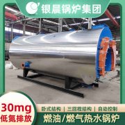 12吨低氮冷凝多宝(中国)官方