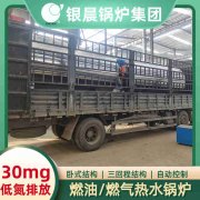 CWNS2.8-85/60-QY天然气热水多宝(中国)官方