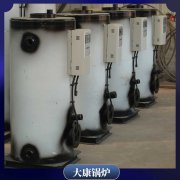 1吨低氮冷凝蒸汽多宝(中国)官方太康多宝(中国)官方