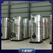 燃气蒸汽多宝(中国)官方安装6吨为什么大家都用他们