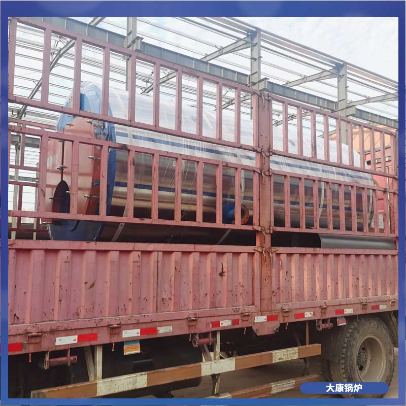 四吨低氮真空多宝(中国)官方