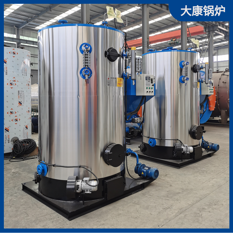 立式生物质蒸汽多宝(中国)官方1