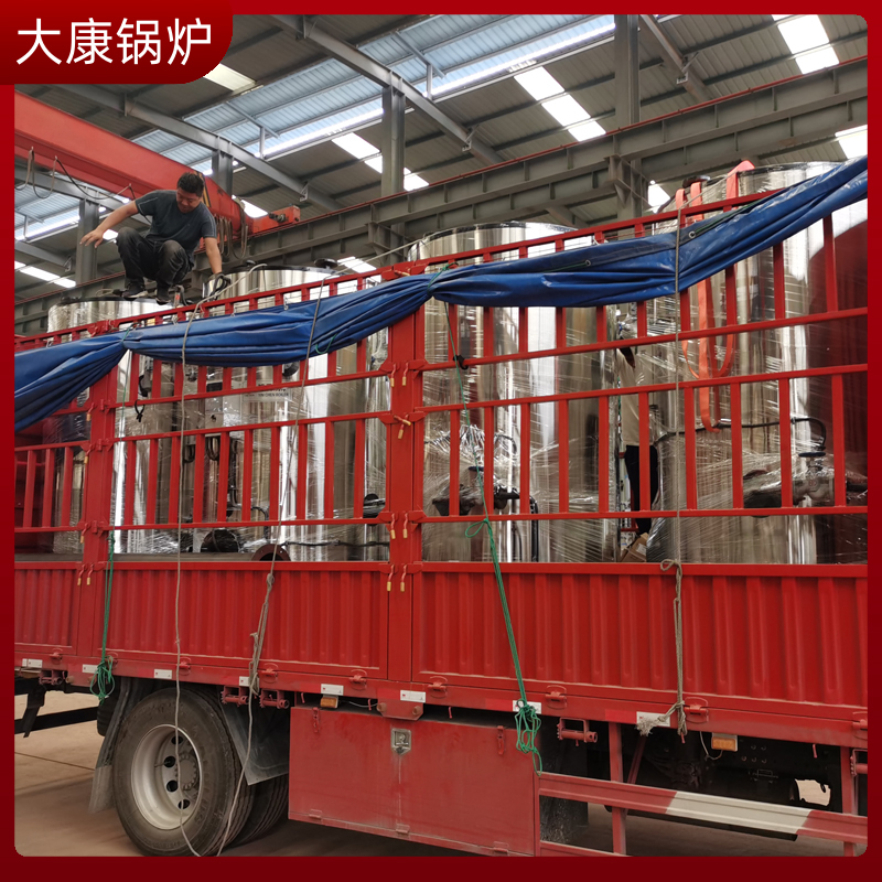 二十吨生物质蒸汽多宝(中国)官方