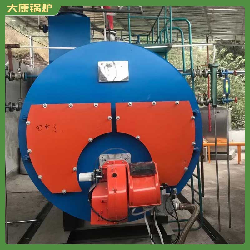 1吨低氮冷凝蒸汽多宝(中国)官方