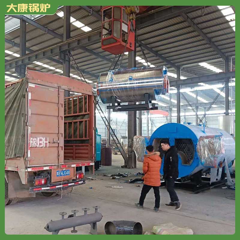 10t生物质蒸汽多宝(中国)官方