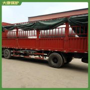 山东0.4吨燃气热水多宝(中国)官方