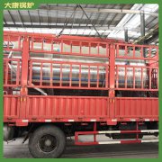 中国十五吨低氮热水多宝(中国)官方