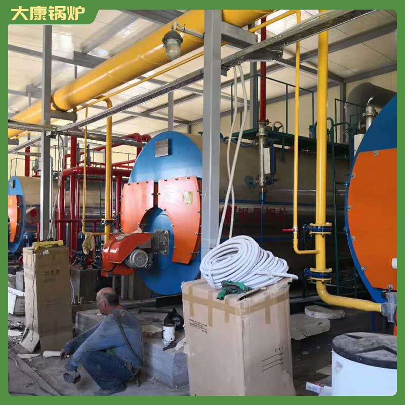 4吨生物质生物质多宝(中国)官方