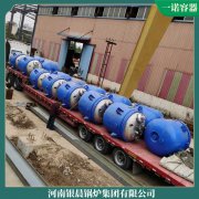 燃油多宝(中国)官方的价格多少钱WNS12三十年生产经验