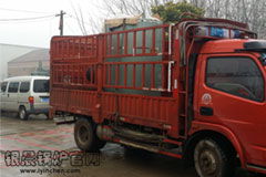 清明放假，贯流多宝(中国)官方发货