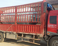 出口澳大利亚燃气蒸汽多宝(中国)官方