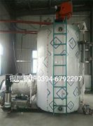 LSS4-1.6-Q型4吨贯流式燃气蒸汽多宝(中国)官方安装现场