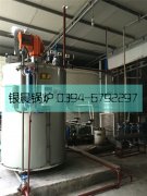 1吨贯流蒸汽多宝(中国)官方安装现场