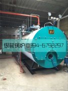 2吨燃气蒸汽多宝(中国)官方安装现场