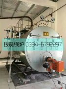 2吨燃气蒸汽多宝(中国)官方发货