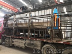 6吨燃气蒸汽多宝(中国)官方