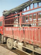 LSS0.5-1.0-Q型0.5吨贯流式燃气蒸汽多宝(中国)官方发货